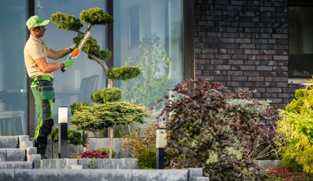 Présentation du meilleur outil de gestion d’entreprise : avis sur Bonsai