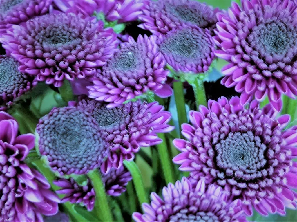 Interview Cédric Annicette : parcours et réussite dans le monde de la mode