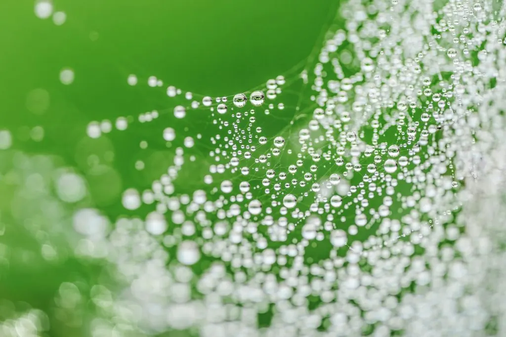 Liquid Web : des solutions d’hébergement web performantes et fiables